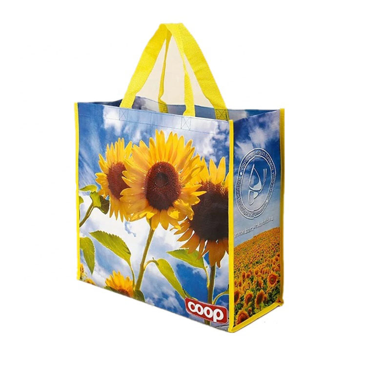 Laminated carrier bags